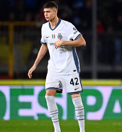 A-斯坦科维奇:很高兴回到意大利踢欧冠,转会前父亲没有给我建议