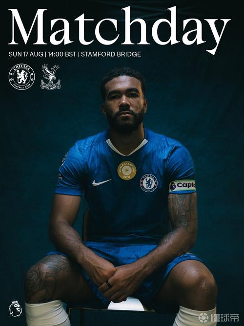 邮报:帕尔默腹股沟拉伤需数周恢复 德拉普将复出 詹姆斯问题不大