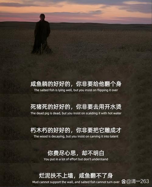 库明加：今日你在此地明日或许就身在别处 对于未来我从不焦虑