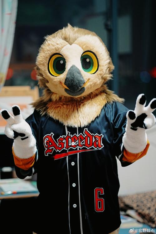 致敬米卢的贡献!官方:U17世界杯公布吉祥物沙漠猫头鹰BOMA